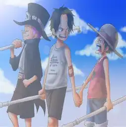求海贼王好看的壁纸,当桌面,越多越好
