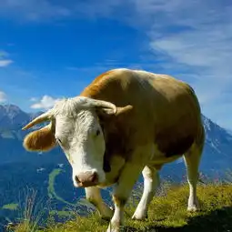 3月财神庇佑财气滚滚大发特发的5种人安易承
