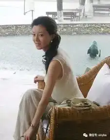 她35岁被富豪抛弃,拿3亿分手费
