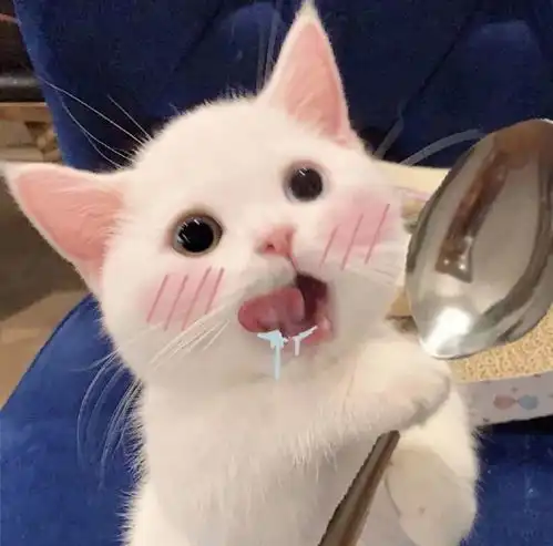 盘点那些夸对方的彩虹屁句子.docx
