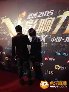 虎牙直播董小飒获大v奖亮相峰会地位受肯

