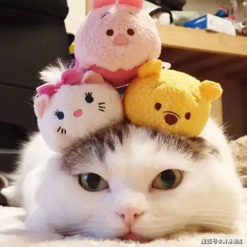 抖音超火头像,萌萌哒,超可爱
