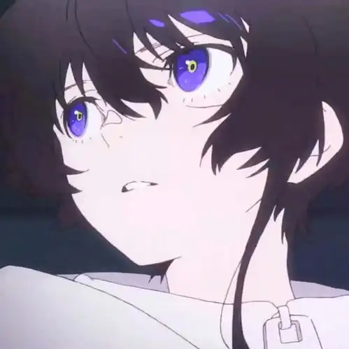 谁知道这是什么动漫里的
