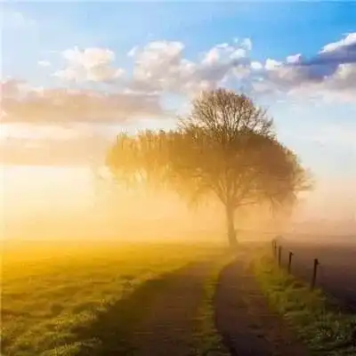 上司在群里发了红包以后
