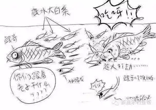 看漫画,学钓鱼技巧
