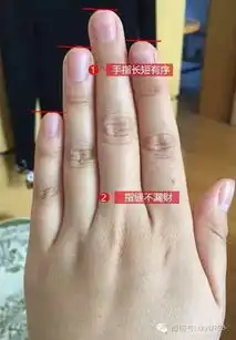 教你看女子有大富大贵的手相
