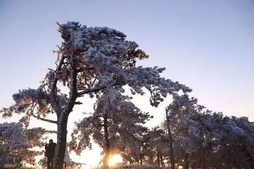 华顶日出,相约雾凇,红妆素裹,分外妖娆
