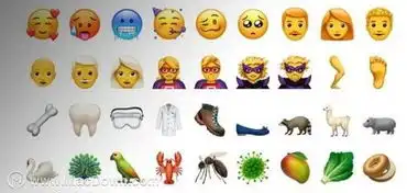 mac快速输入emoji表情符号教程出炉,看到同款表情我笑哭了
