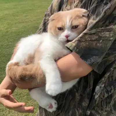 qq男生头像男头高清好看的新版男生专用头像图片大全免费下载头像控
