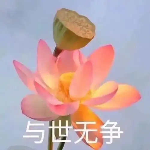 这周收到的除了您的快递,还有来势汹汹的冷空气
