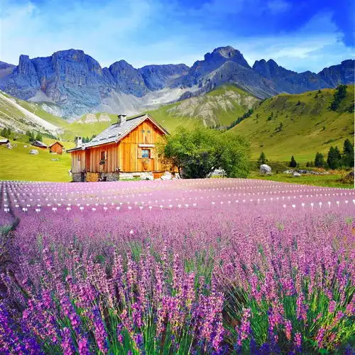 被讨厌的勇气过去的创伤不是过去赋予的,而是自己赋予的
