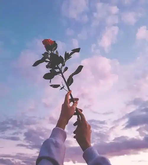 在感情中,真正爱你的男人,不会主动帮你做这几件事
