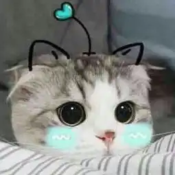 小众餐饮课抖音是如何捧火一个品牌的未来流量红利在何方
