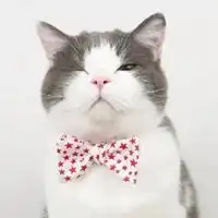 睁一只眼闭一只眼图片动漫唯美睁一只眼闭一只眼图片
