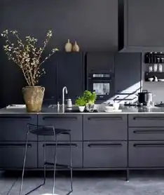 如果你不讨厌暗色系,那这样的厨房也不错
