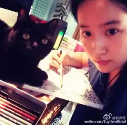 刘亦菲谢娜林心如章子怡看没妆女星什么样
