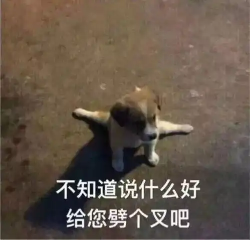 政知道明天油价要涨了永康司机赶紧加油去
