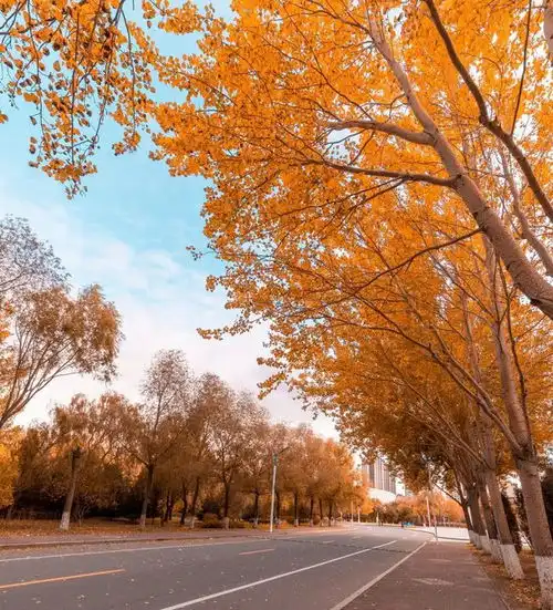 齐齐哈尔医学院丨一年好景,最是橙黄橘绿时
