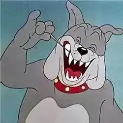 求猫和老鼠跟这个头像相对应的史派克的头像,就是那只狗的
