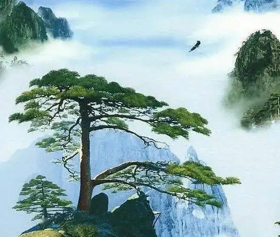 中老年头像大全大吉大利的好看微信风景头像
