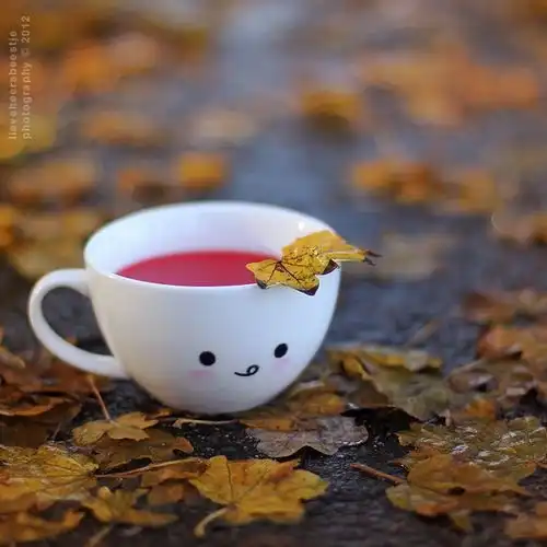 刹那永恒
