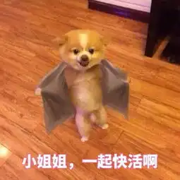 撩小姐姐表情包合集小姐姐,约不约小帅哥啊
