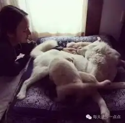 她曾是所有男人的性感女神,却下嫁丑男脱下高跟鞋做起了农妇
