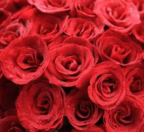 5月下旬,异性缘旺盛,贵人多帮,福气满满,幸福不断的4大生肖
