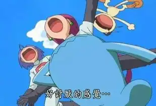 从前有俩坏人叫皮卡丘和小智,他们总欺负火箭队有毒回忆杀
