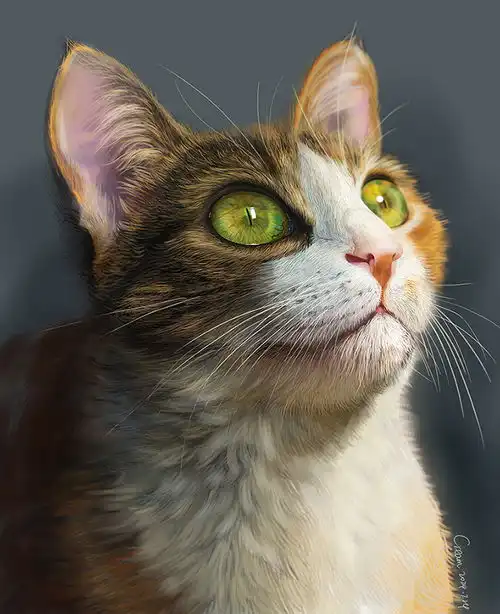 手绘板手绘猫咪三花猫厚涂插画手绘动物
