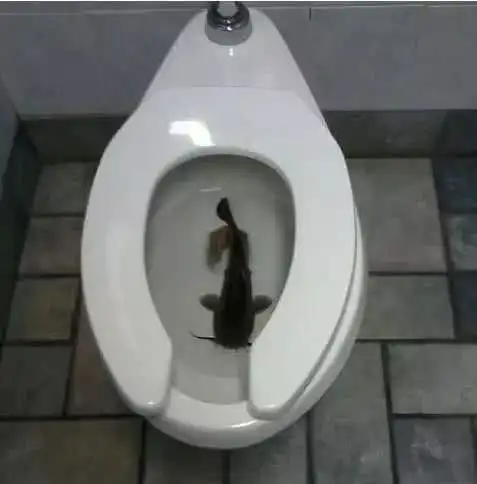 幽默笑话,经常幻想电视剧里的一个场景女朋友
