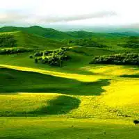 微信图像风景优美阳光灿烂的图像
