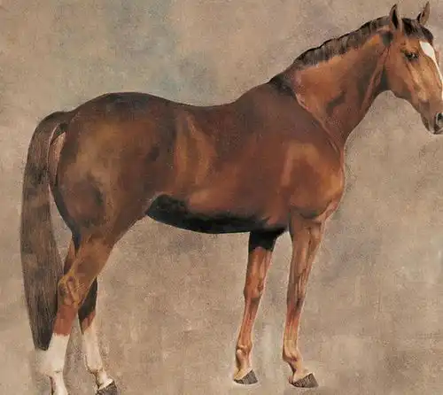 夫妻俩如有哪个生肖,多子多孙多家财,犹如红日在家门,几代好运
