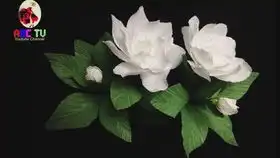 心形水滴架构手捧花
