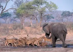 十个壮汉怕了一个美女
