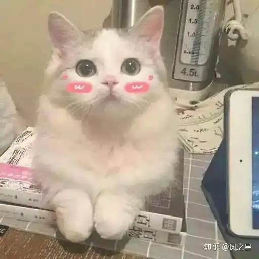 合租男室友好还是女室友好
