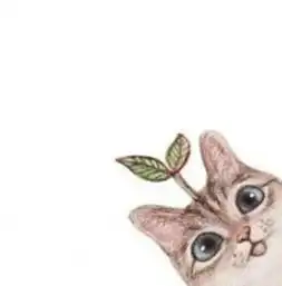 急求这个图的情侣头像十万加急
