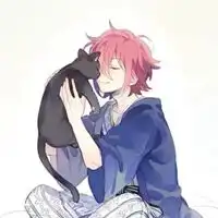 qq头像猫咪男生猫咪男生动漫霸气可爱qq头像
