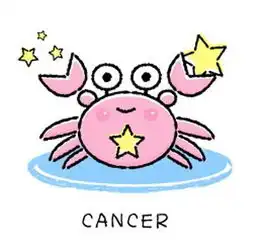 12星座约会最浪漫的爱情时辰4
