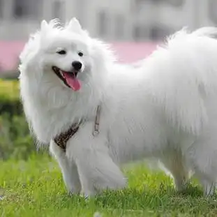 生活图片,生活灵感专辑搜房室内设计师网
