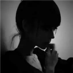 博世bosch雨刷博世bosch神翼无骨雨刮片雨刷17英寸u型快钩接口单支装bba425l途虎养车
