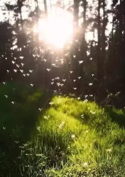 每段路,都是一种领悟搜狐文化搜狐网
