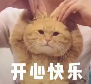 品牌的版本迷雾
