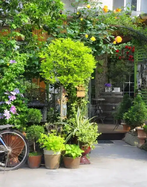 她40岁隐居,造了200㎡大花园,养花养狗,引领中年女性新生活
