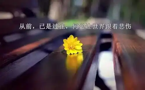 一切自由生长,自己种花自己开,自己开错自己败
