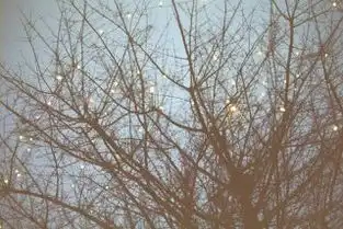 发生在婚礼现场的这一幕,触动了多少人
