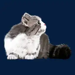 可爱猫咪手绘插画psd图片素材其他格式下载动漫人物大全
