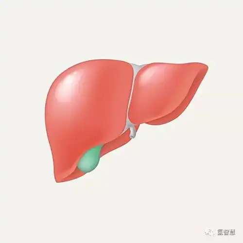 吸氢保健应用建议收藏
