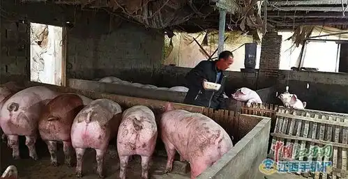不屈服不妥协不抱怨脱贫路上携手往前奔
