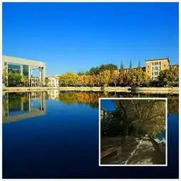 在你眼中,哪所高校的秋天最美丽
